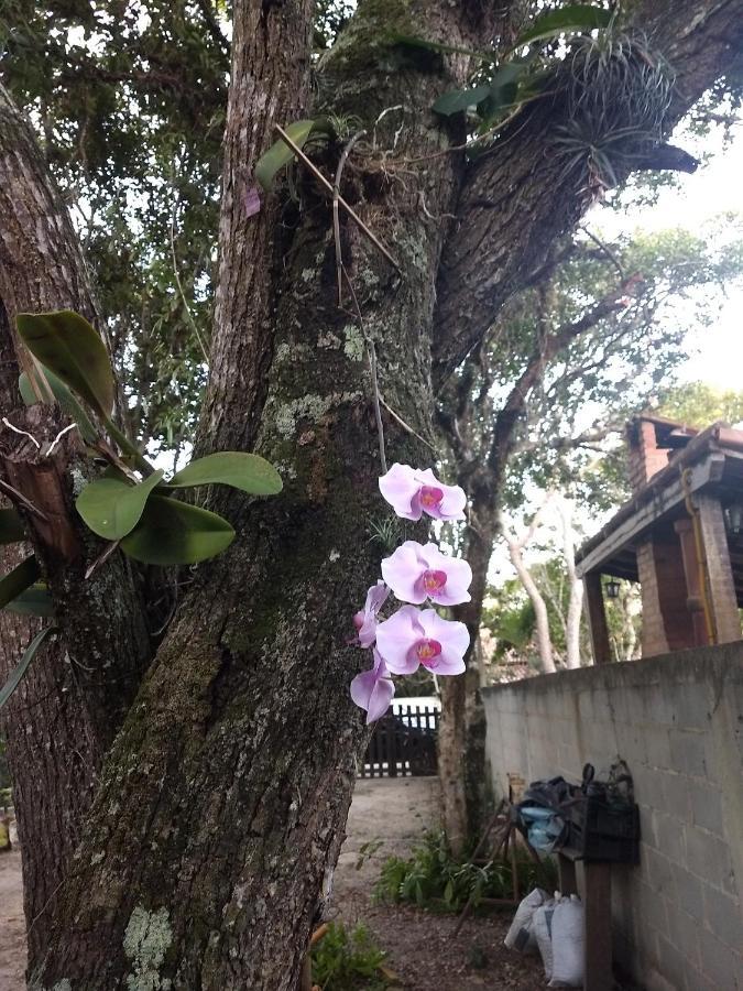 Casa das Orquídeas Arraial do Cabo Exterior foto